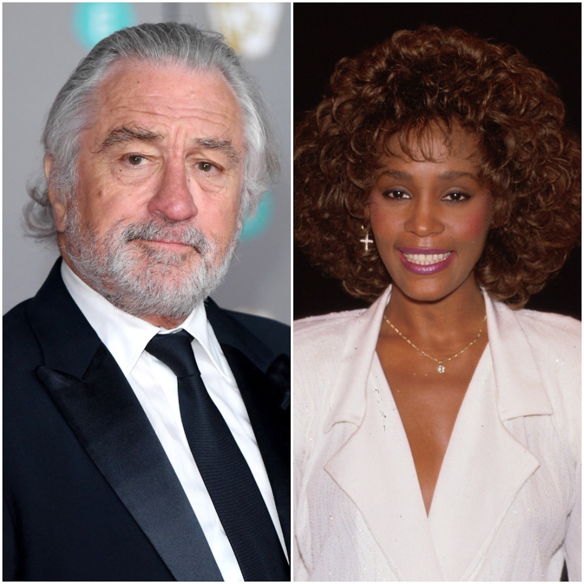 Robert De Niro and Whitney Houston