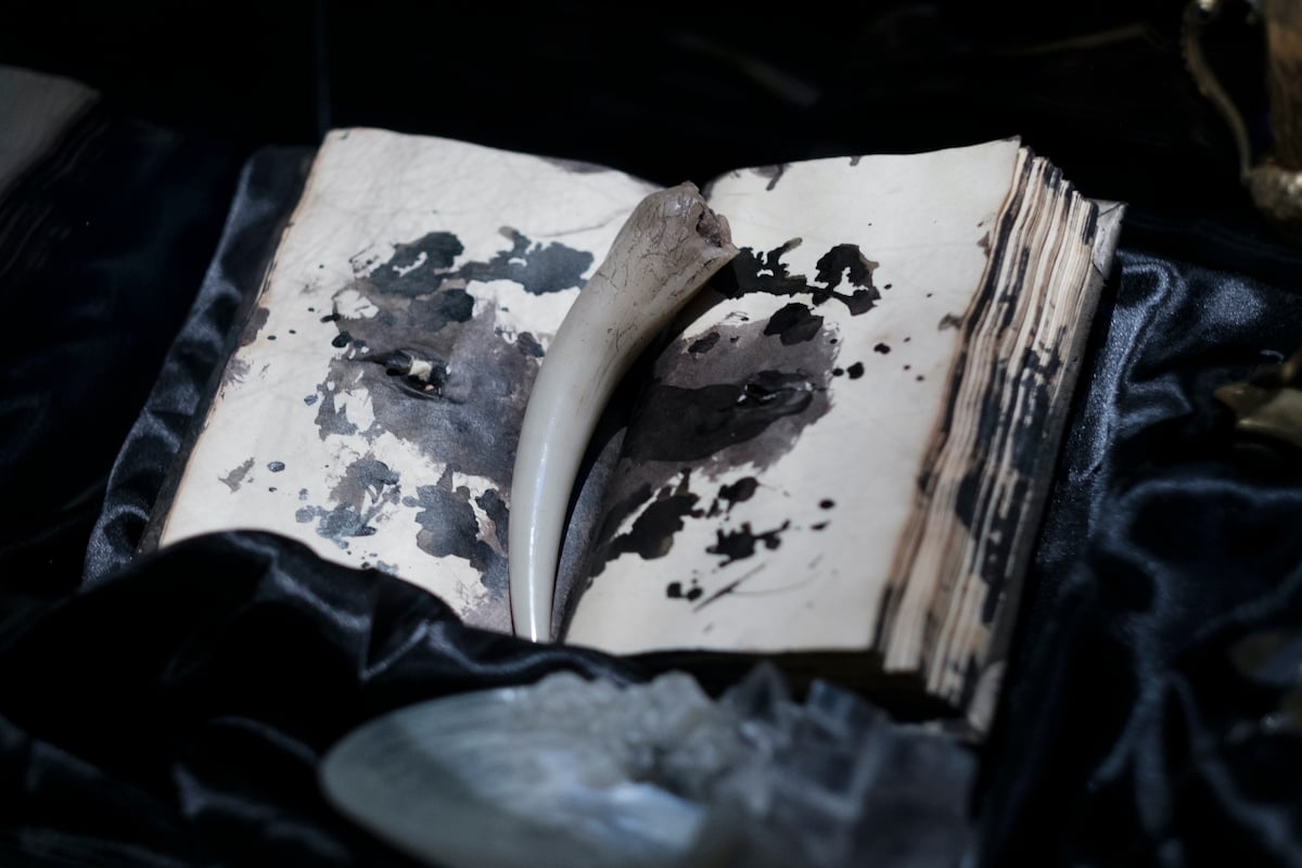 Tom Riddle's Diary, one of Voldemort's horcruxes
