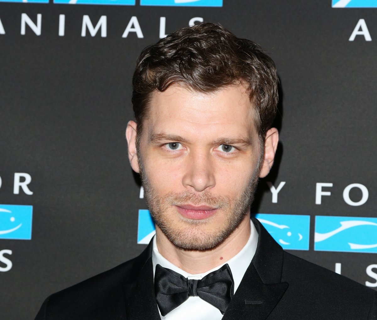 Joseph Morgan