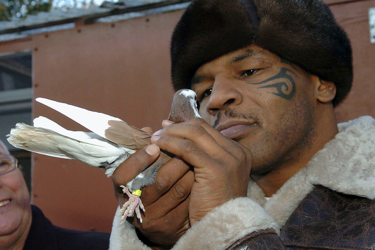 Mike Tyson meets up with a pigeon fancier Horace Potts (L), of Bloxwich, Walsall, West Midlands