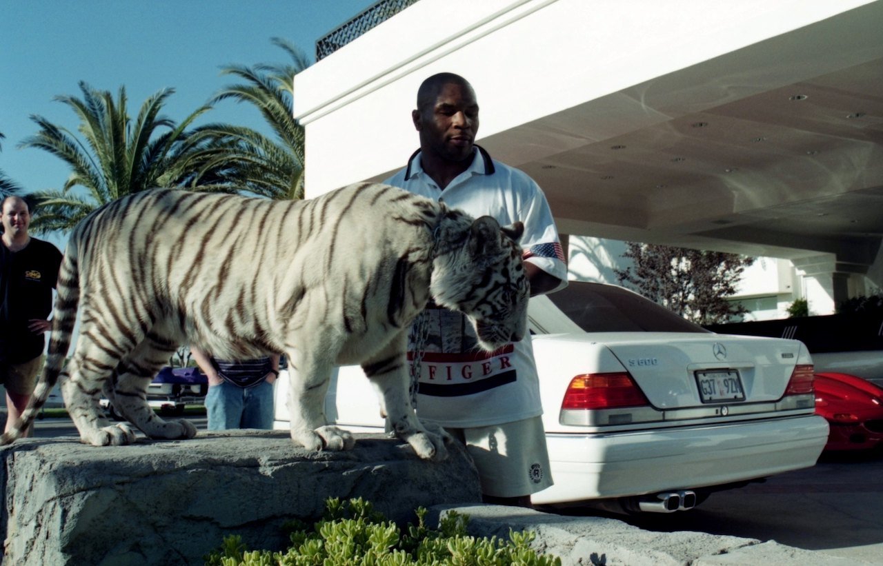 Mike Tyson poses with his white tiger during an interview at his home.