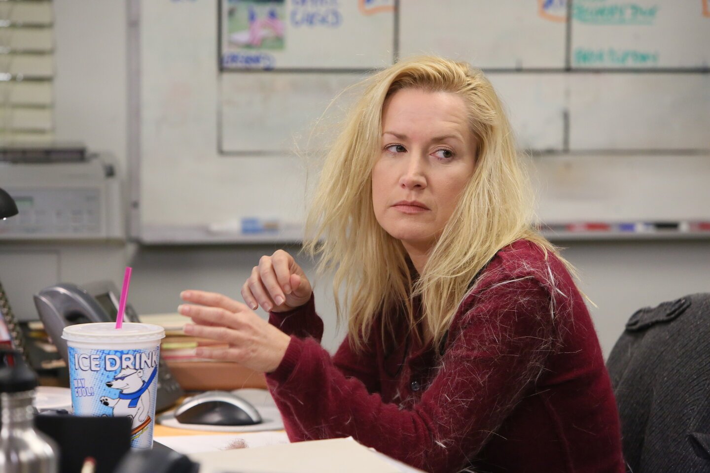 Angela Kinsey and Angela Martin in the 'Livin' The Dream' episode of 'The Office.'