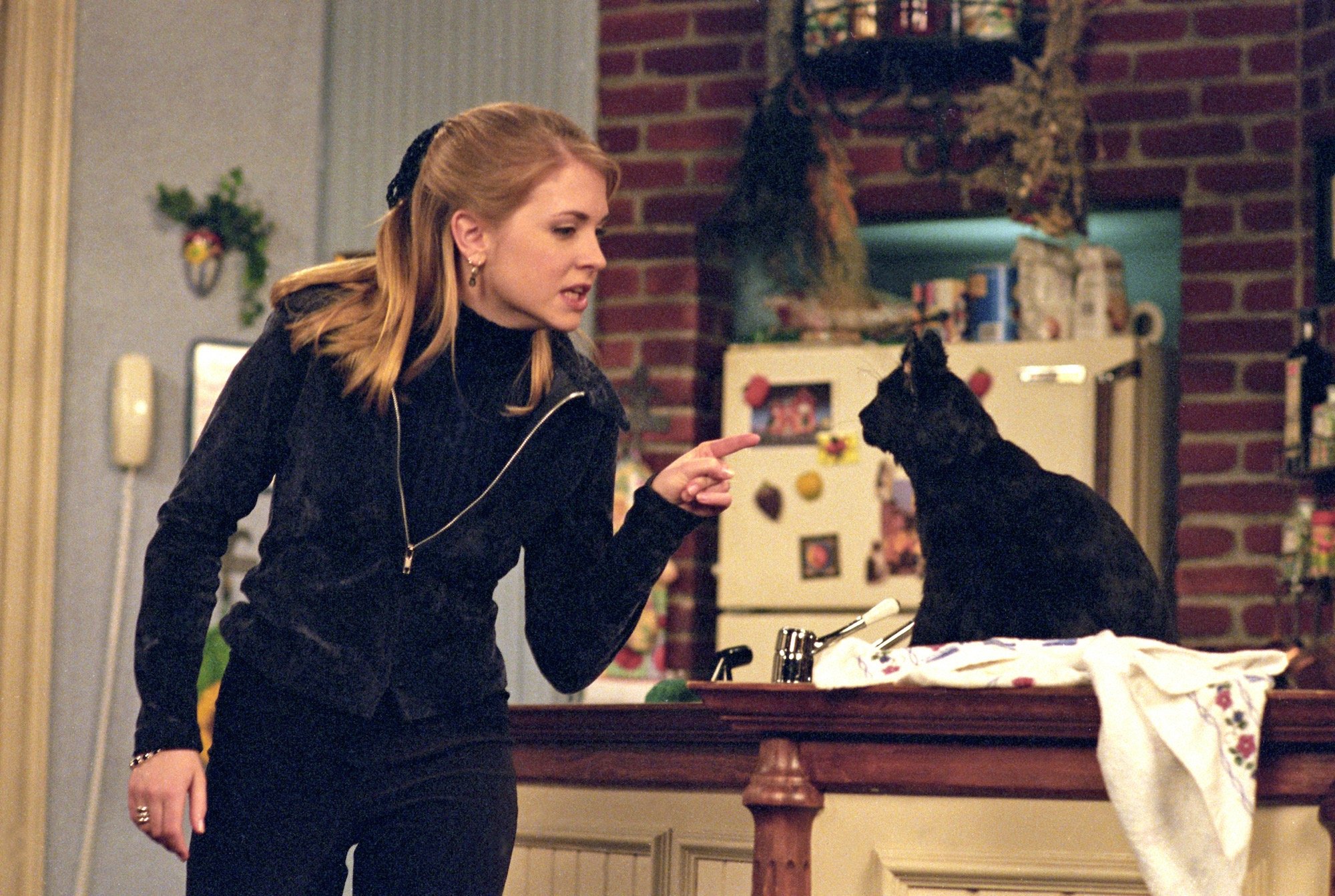 Sabrina The Teenage Witch Salem Was Played By 3 Real Cats
