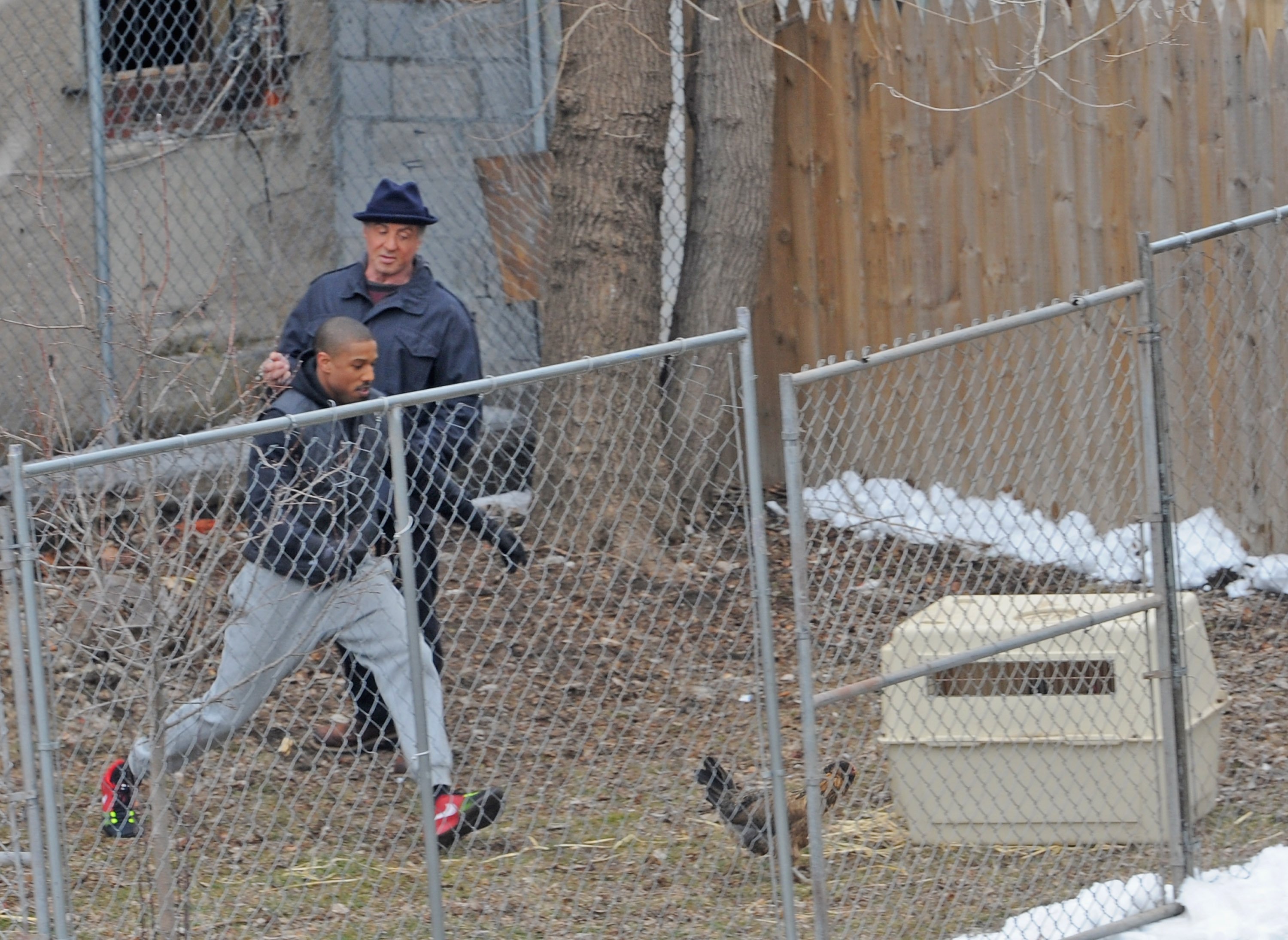 Adonis Creed chases a chicken while Rocky watches