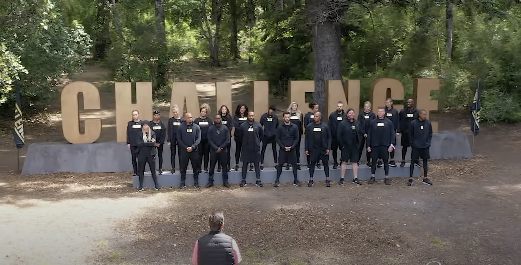 The cast of 'The Challenge: All Stars'