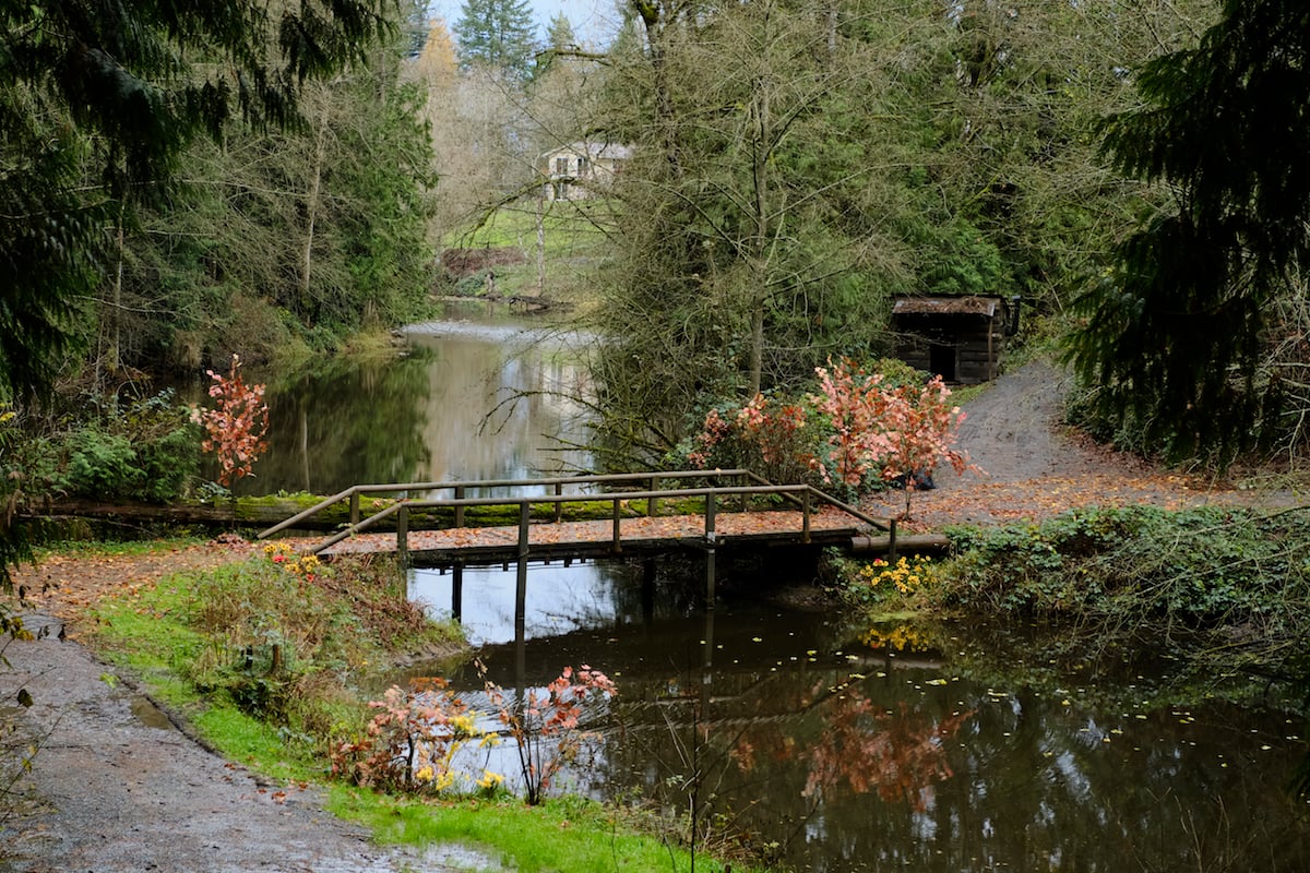 Bridge over water surrounded by trees