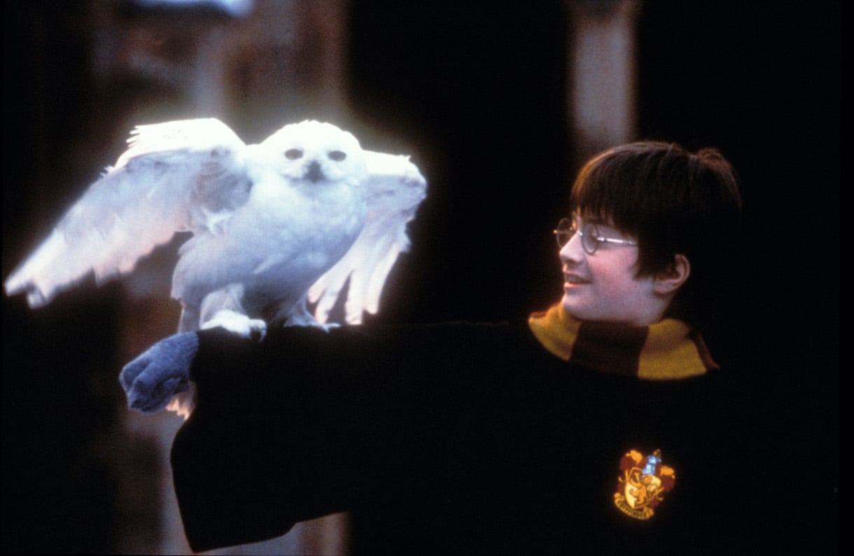 Daniel RadcliffeDaniel Radcliffe in 'Harry Potter and the Sorcerer's Stone' 