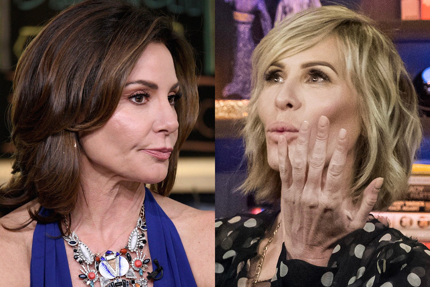 Luann de Lesseps and Carole Radziwill