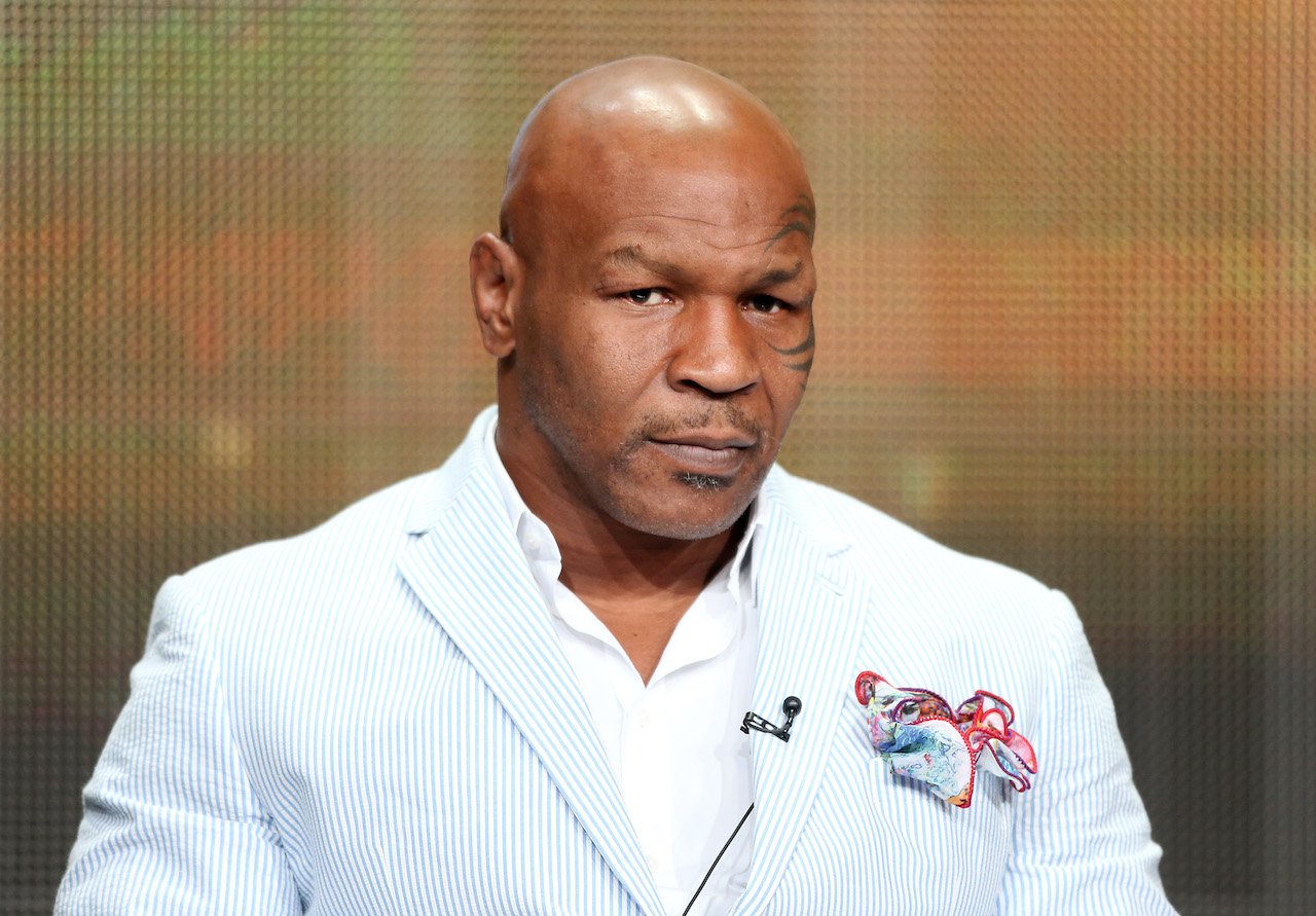 Mike Tyson speaks onstage during a panel discussion at the 2013 Summer Television Critics Association tour