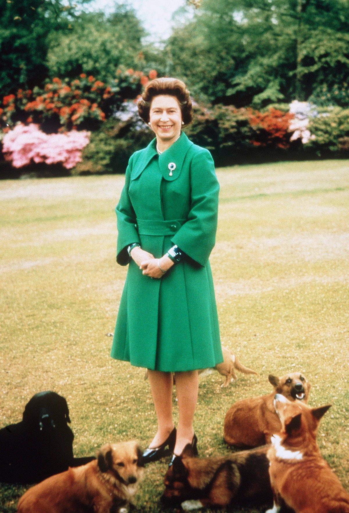 Queen Elizabeth surrounded by corgis in 1980