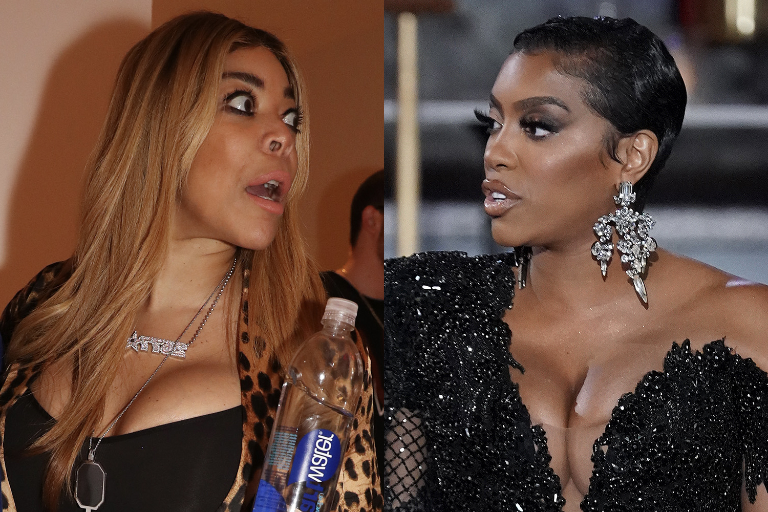 Wendy Williams and Porsha Williams