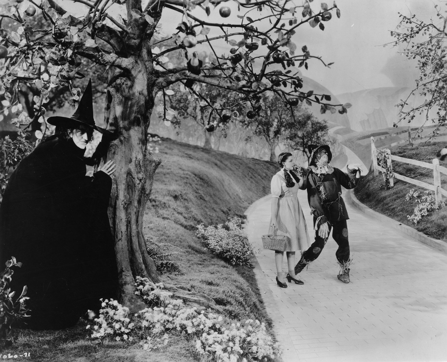 Margaret Hamilton, as The Wicked Witch of the West, hides behind a tree from Dorothy, played by Judy Garland (1922 - 1969), and the scarecrow as they make their way down the yellow brick road in a scene from The Wizard of Oz