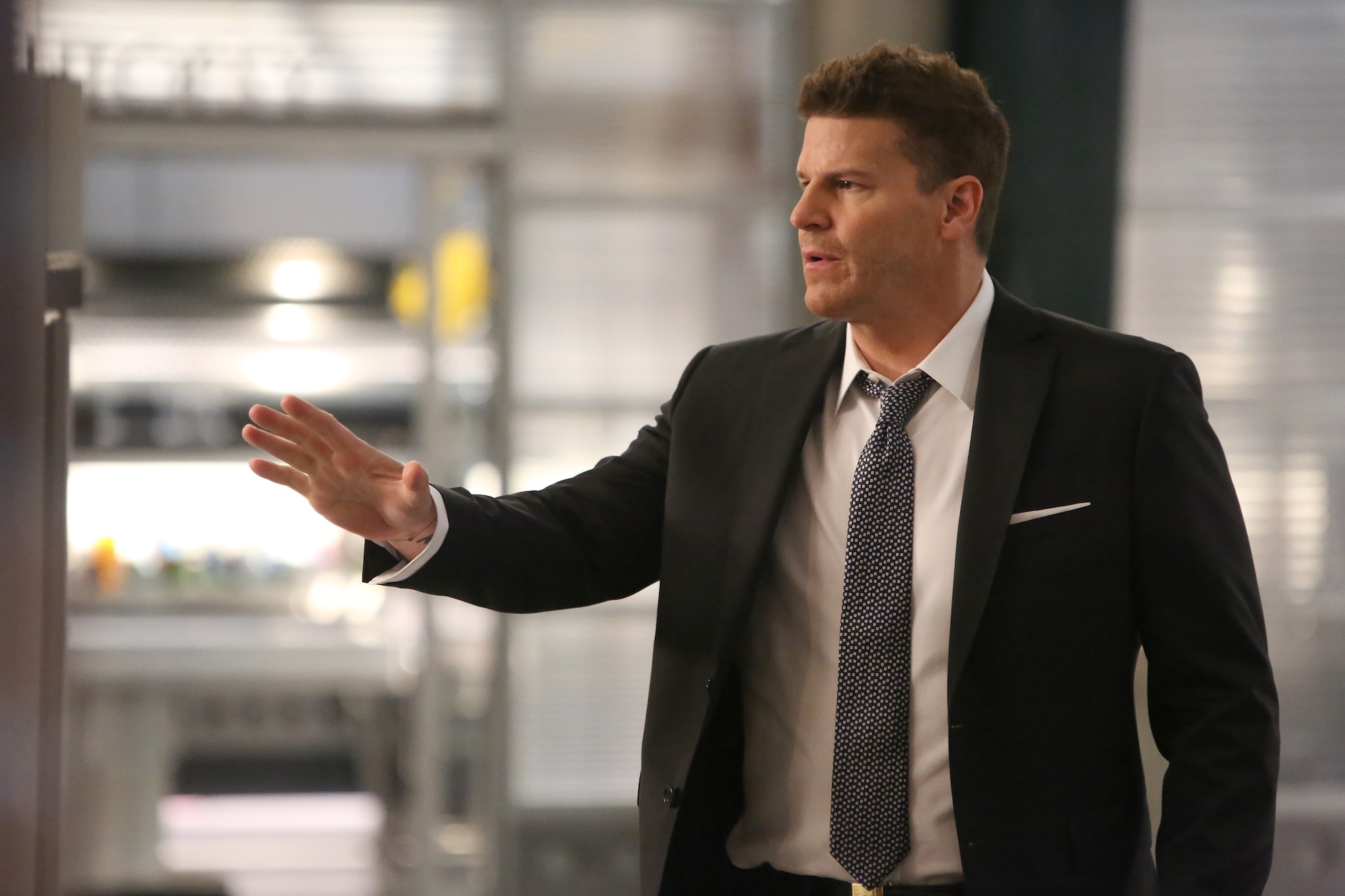 David Boreanaz