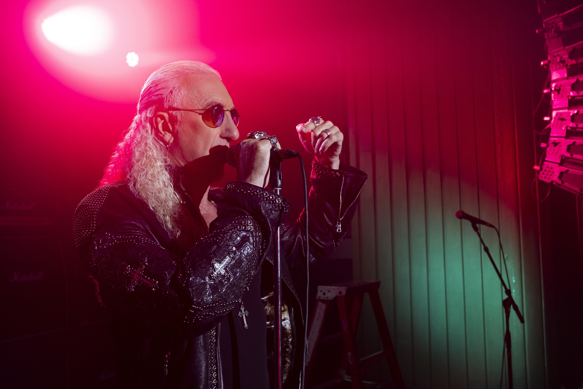 Dee Snider sings on Cobra Kai