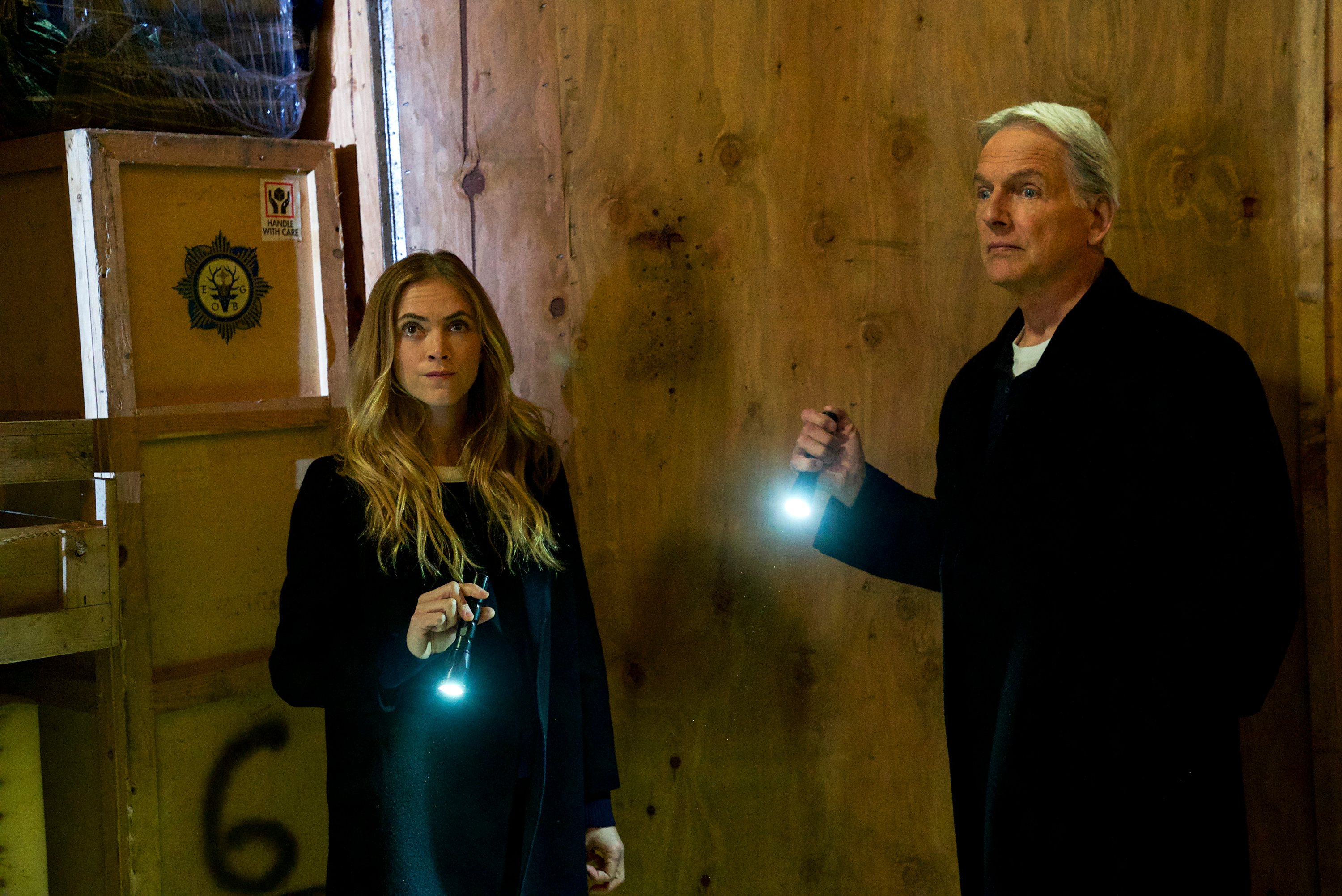Emily Wickersham and Mark Harmon on 'NCIS'