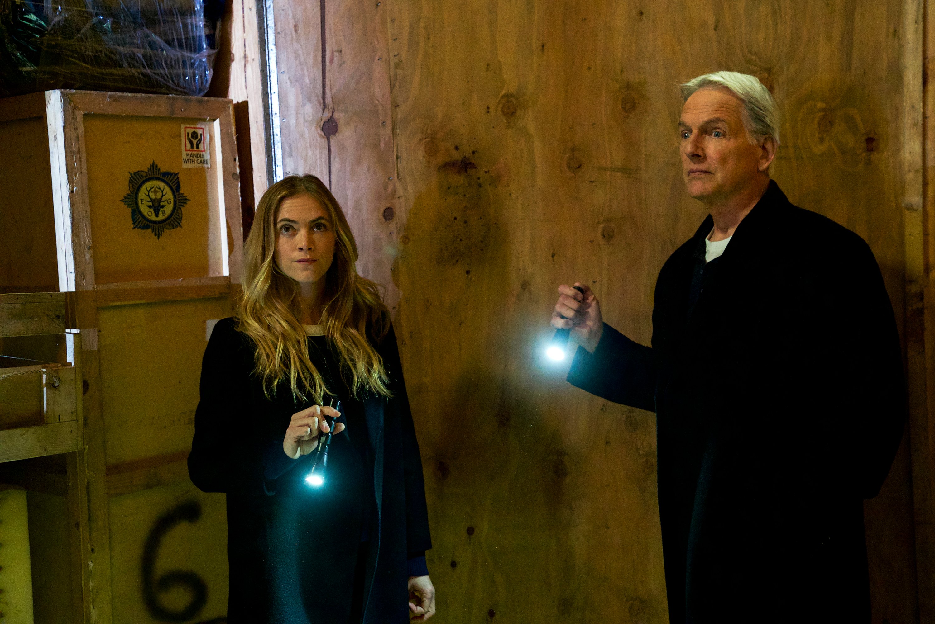 Emily Wickersham and Mark Harmon on 'NCIS' 