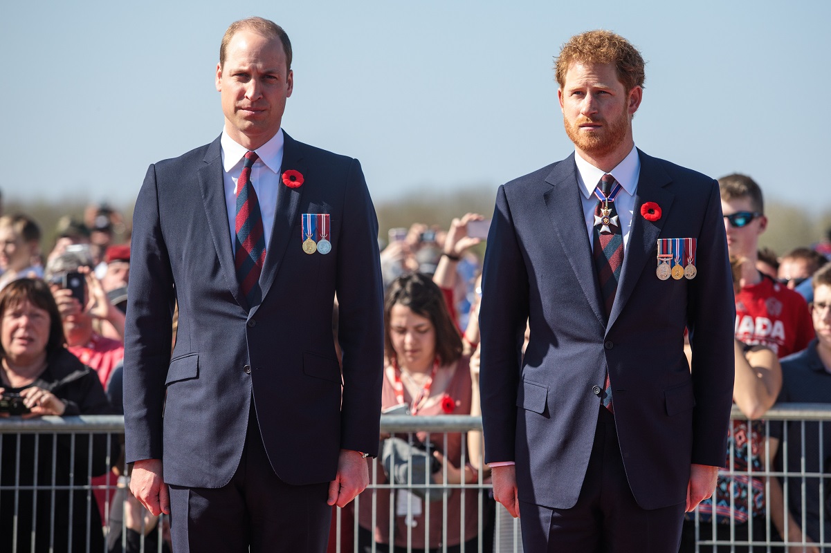 Prince William and Prince Harry standing next to each other at the Canadian National Vimy Memorial in France