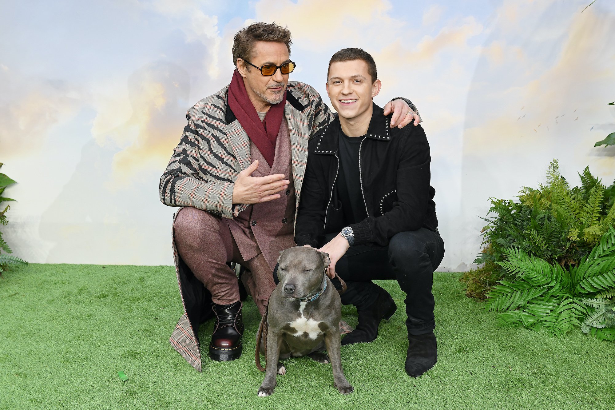 Robert Downey Jr. with his arm around Tom Holland, sitting with a pitbull