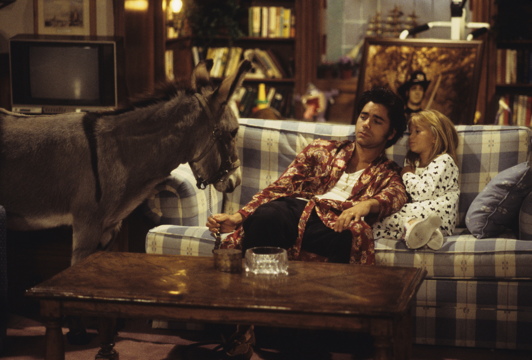 'Full House' episode titled 'You Pet It, You Bought It'