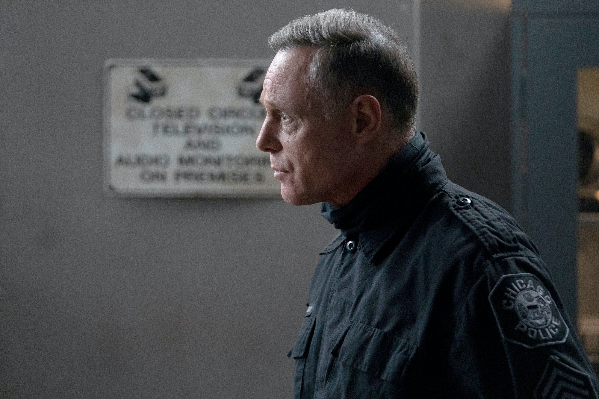 Jason Beghe as Hank Voight 