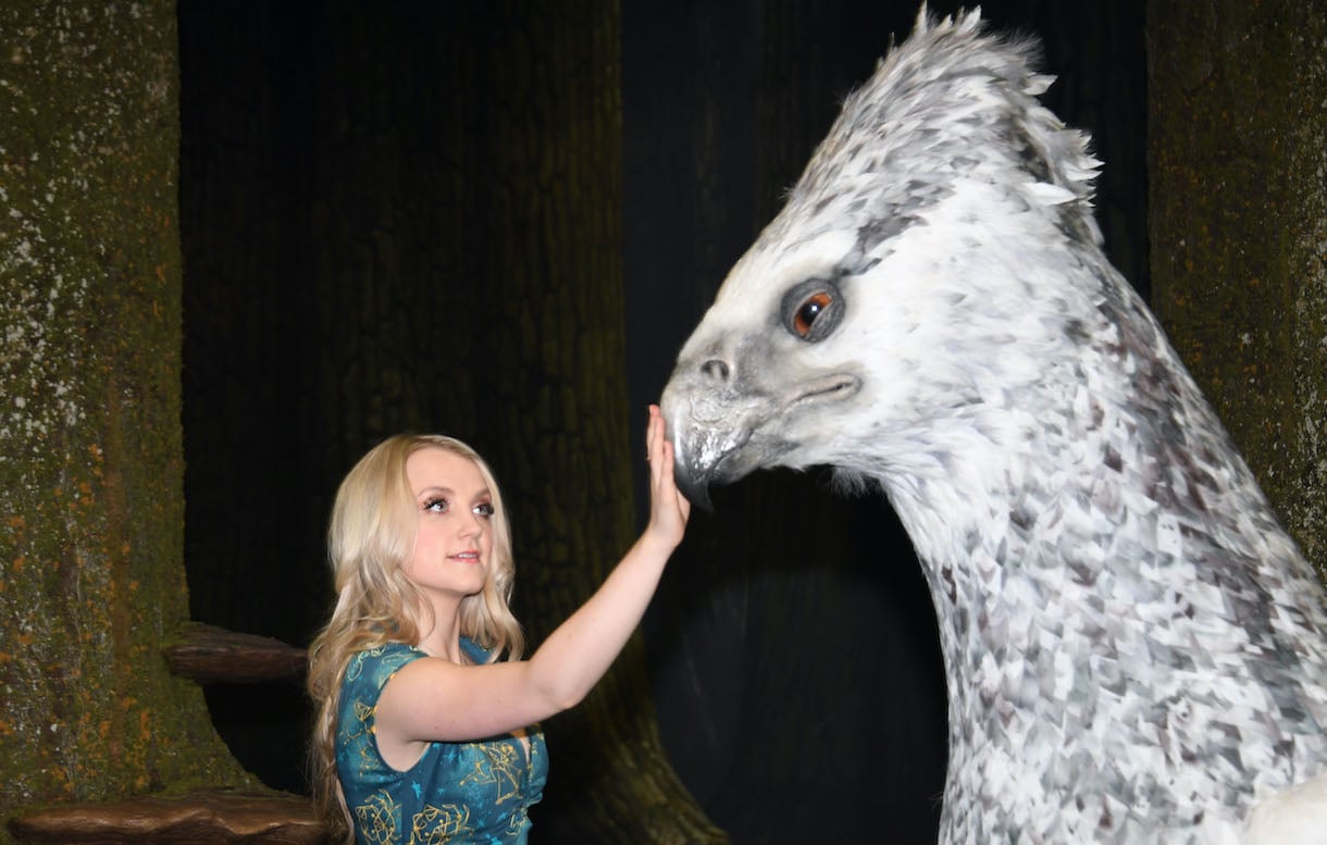 ‘Harry Potter’: Evanna Lynch Explains Why Neville and Luna Wouldn’t End Up Together
