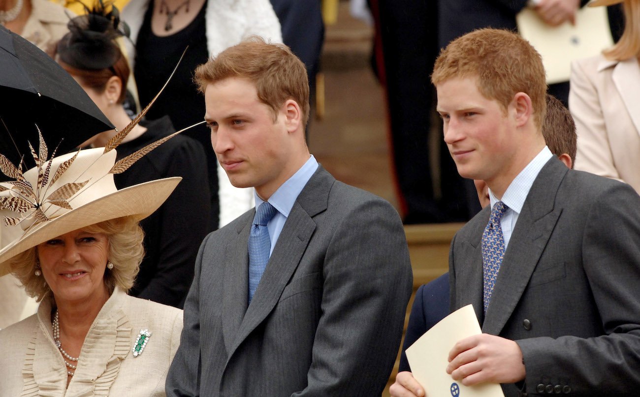 Camilla Parker Bowles with Prince William and Prince Harry in 2006