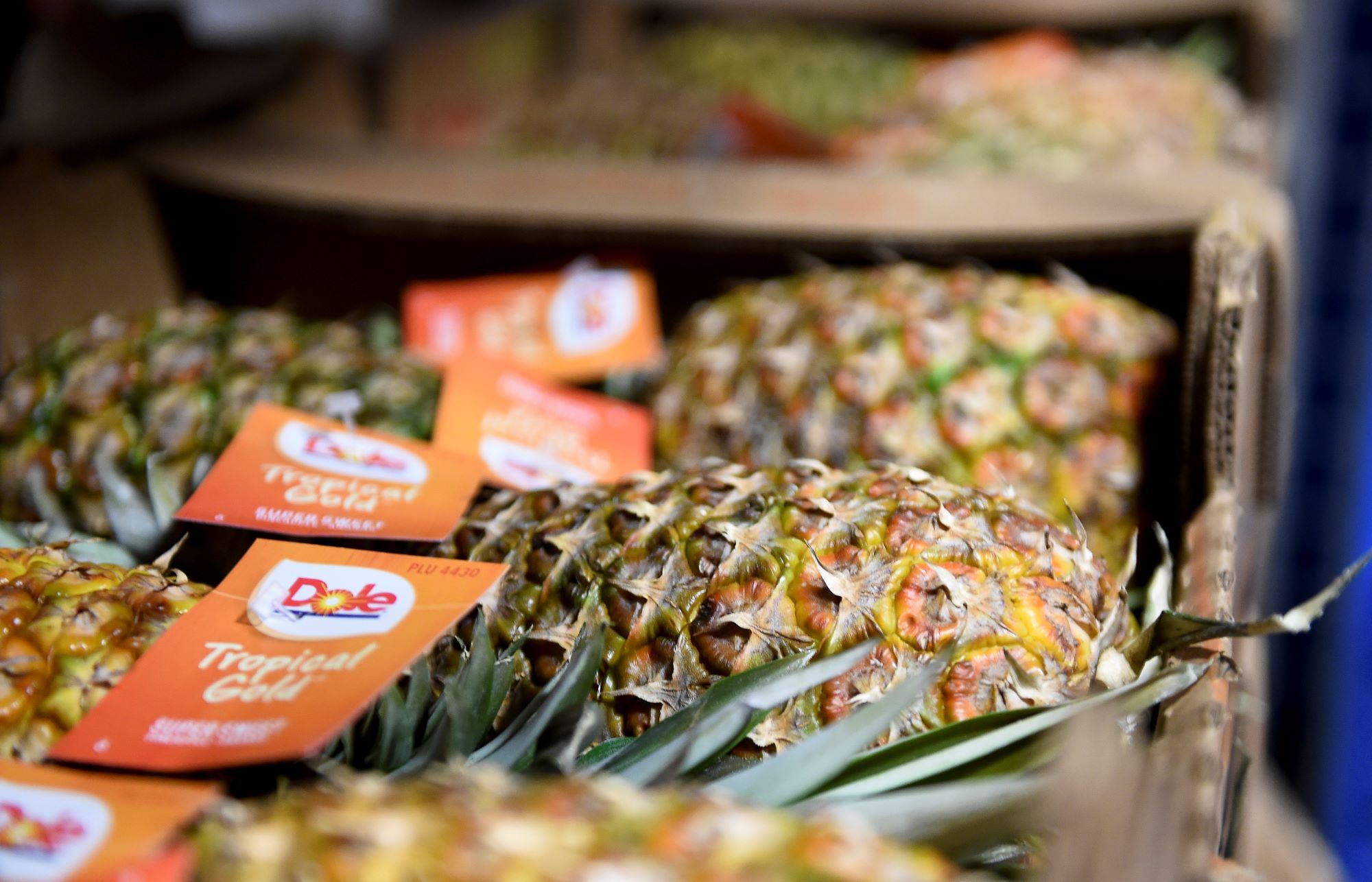 Crates of Dole Tropical Gold pineapples in a grocery store