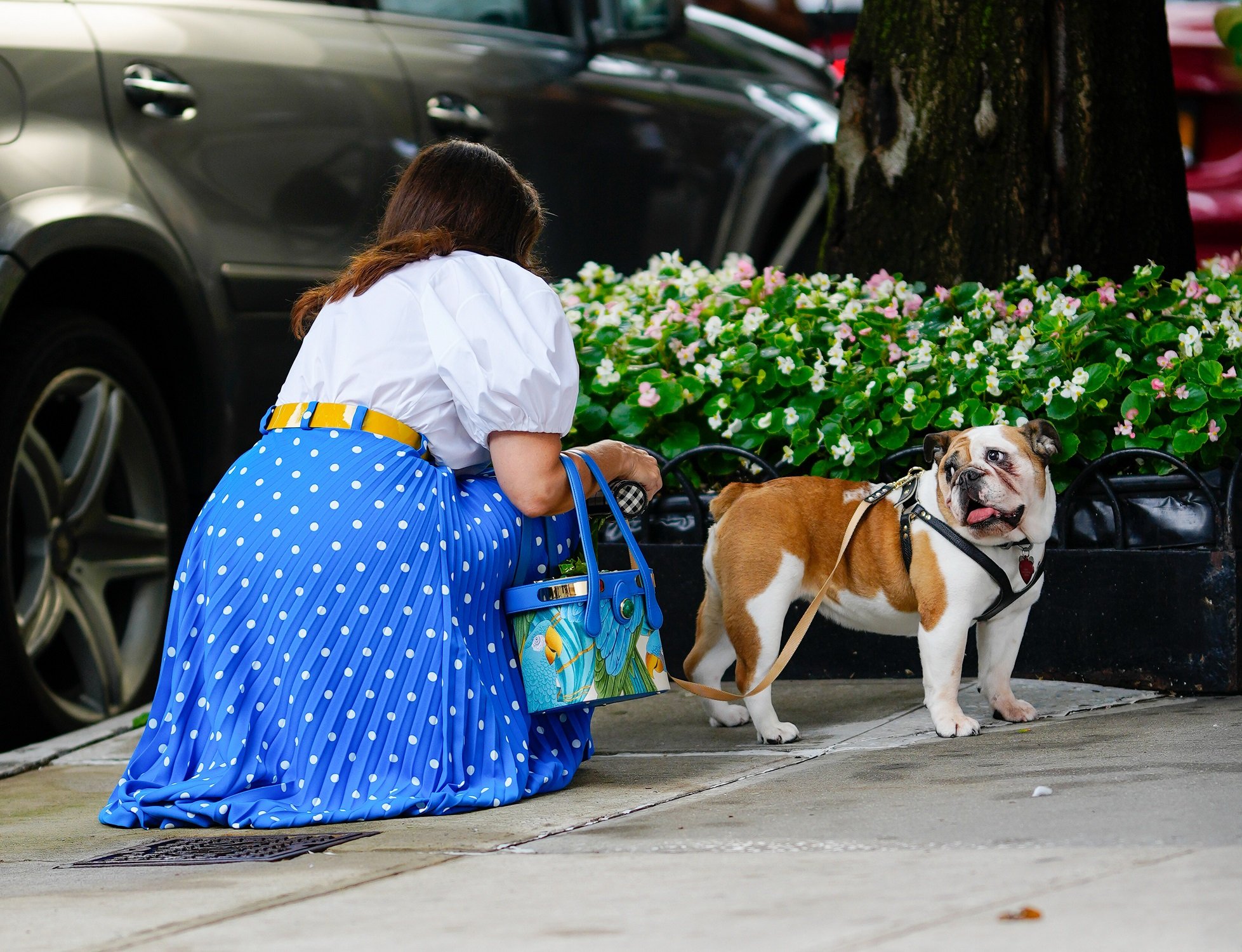 Kristin Davis kneels down to interact with a dog on the set of 'And Just Like That...'