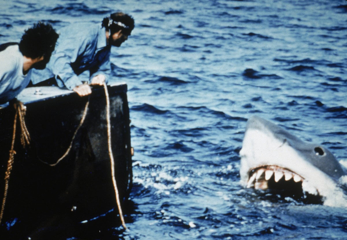Richard Dreyfuss and Robert Shaw lean off the back of their boat, holding ropes as they watch the giant Great White shark emerge from the water in a scene from the Steven Spielberg movie 'Jaws'