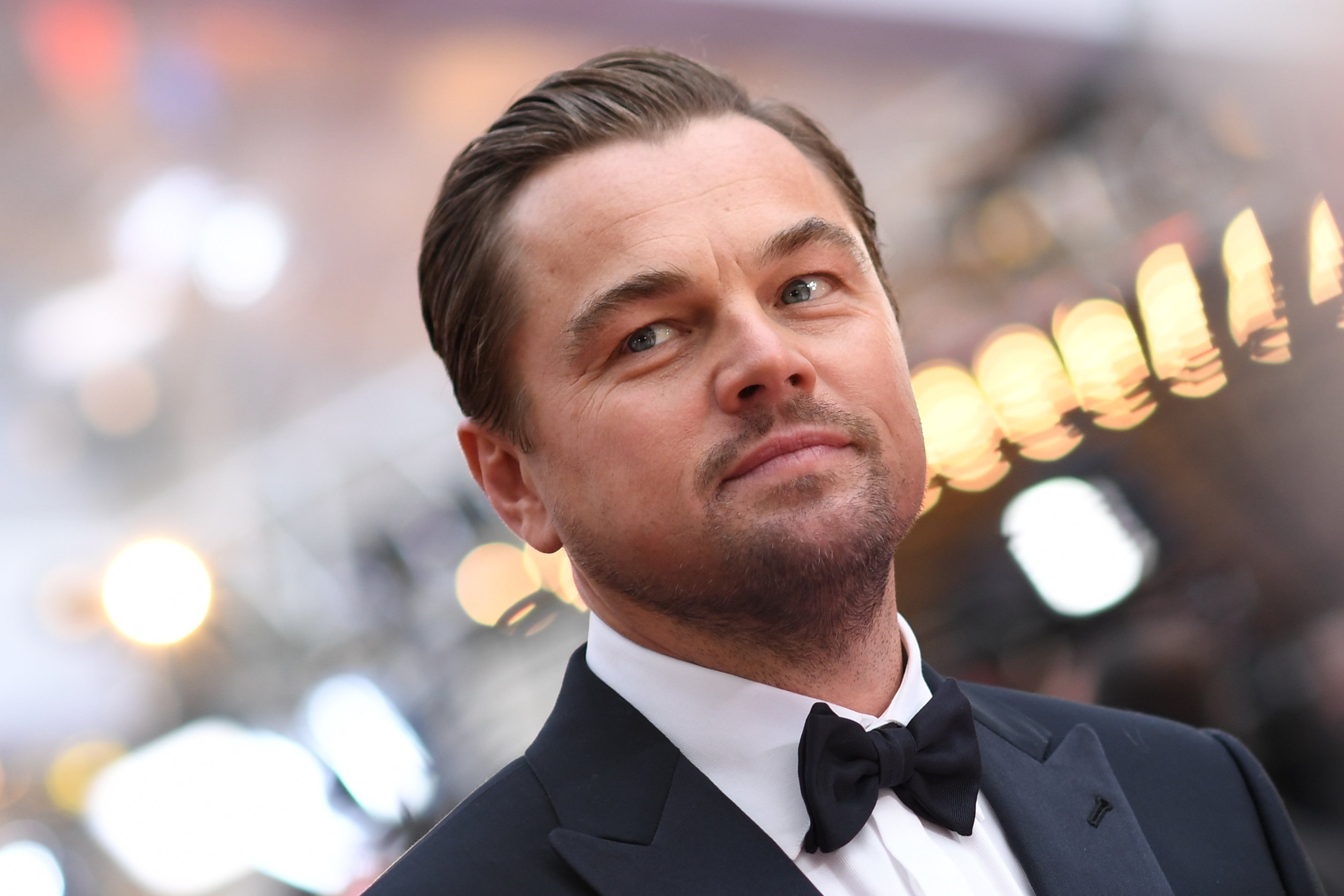 Actor Leonardio DiCaprio at the 92nd Oscars - he happens to be a fan of 'Jersey Shore'