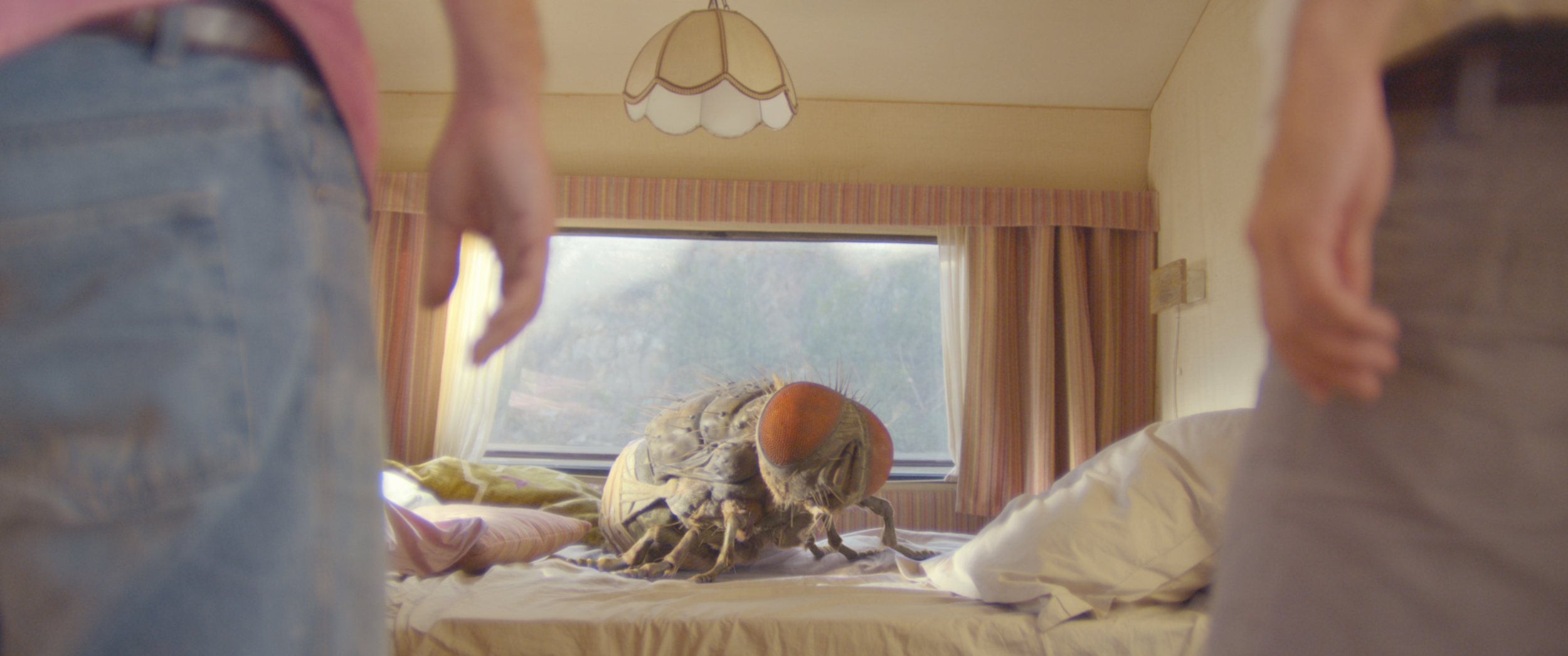 Mandibles' fly on the bed
