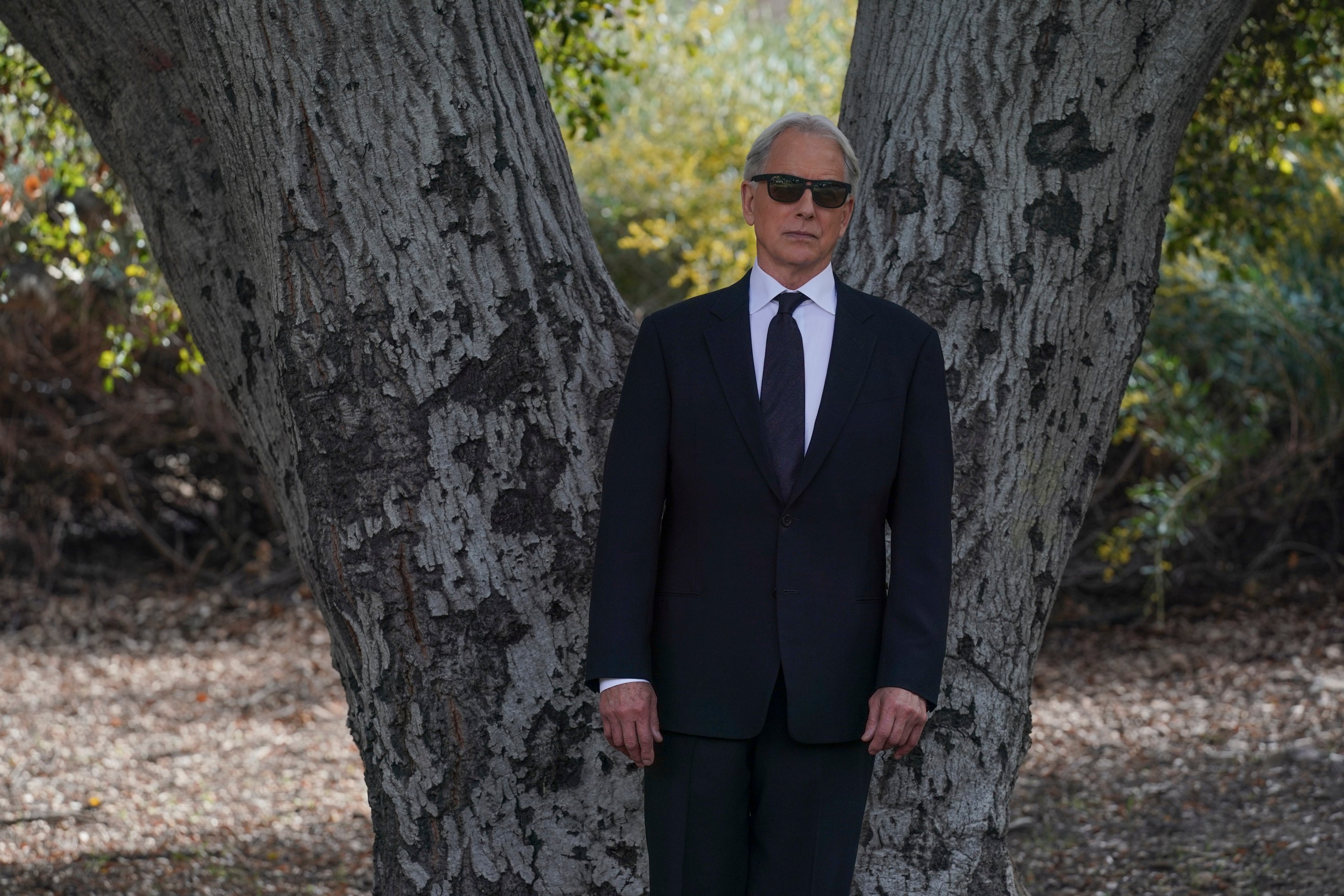 Mark Harmon wears a dark suit and sunglasses during a funeral scene from 'NCIS'