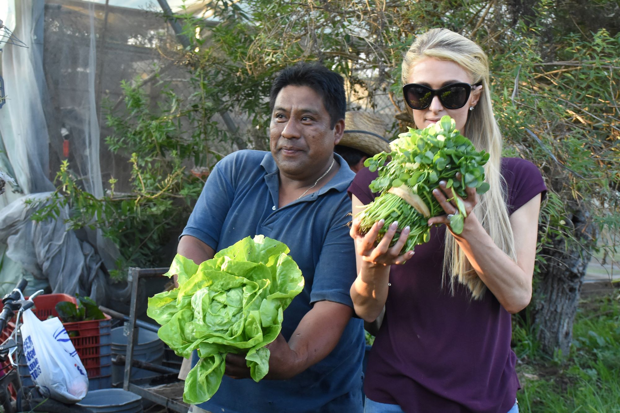 Paris Hilton holding lettuce from a farm visit in Mexico