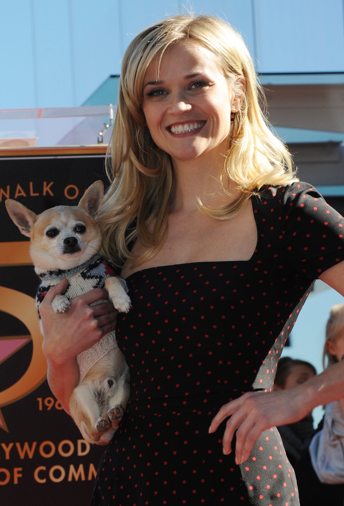 Reese Witherspoon and her 'Legally Blonde' co-star Bruiser posing at her Hollywood Walk of Fame ceremony