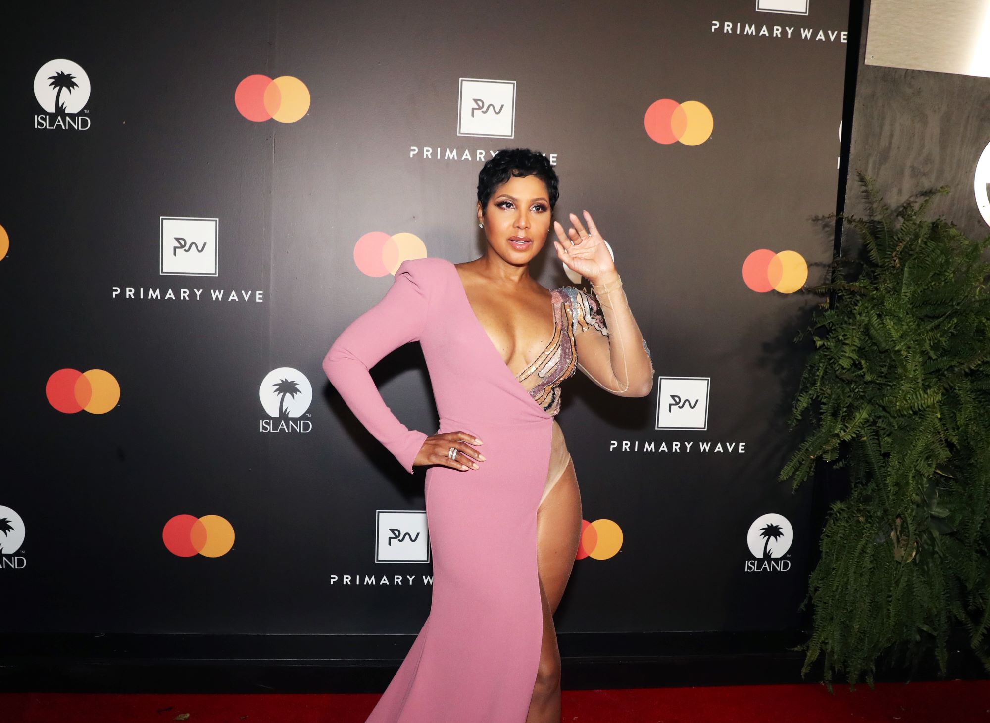 Toni Braxton at the red carpet of the Primary Wave x Island Records Pre-Grammy Party