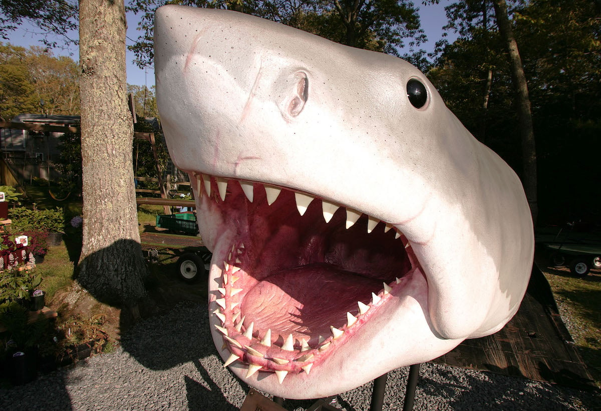 Steven Spielberg's "Jaws'