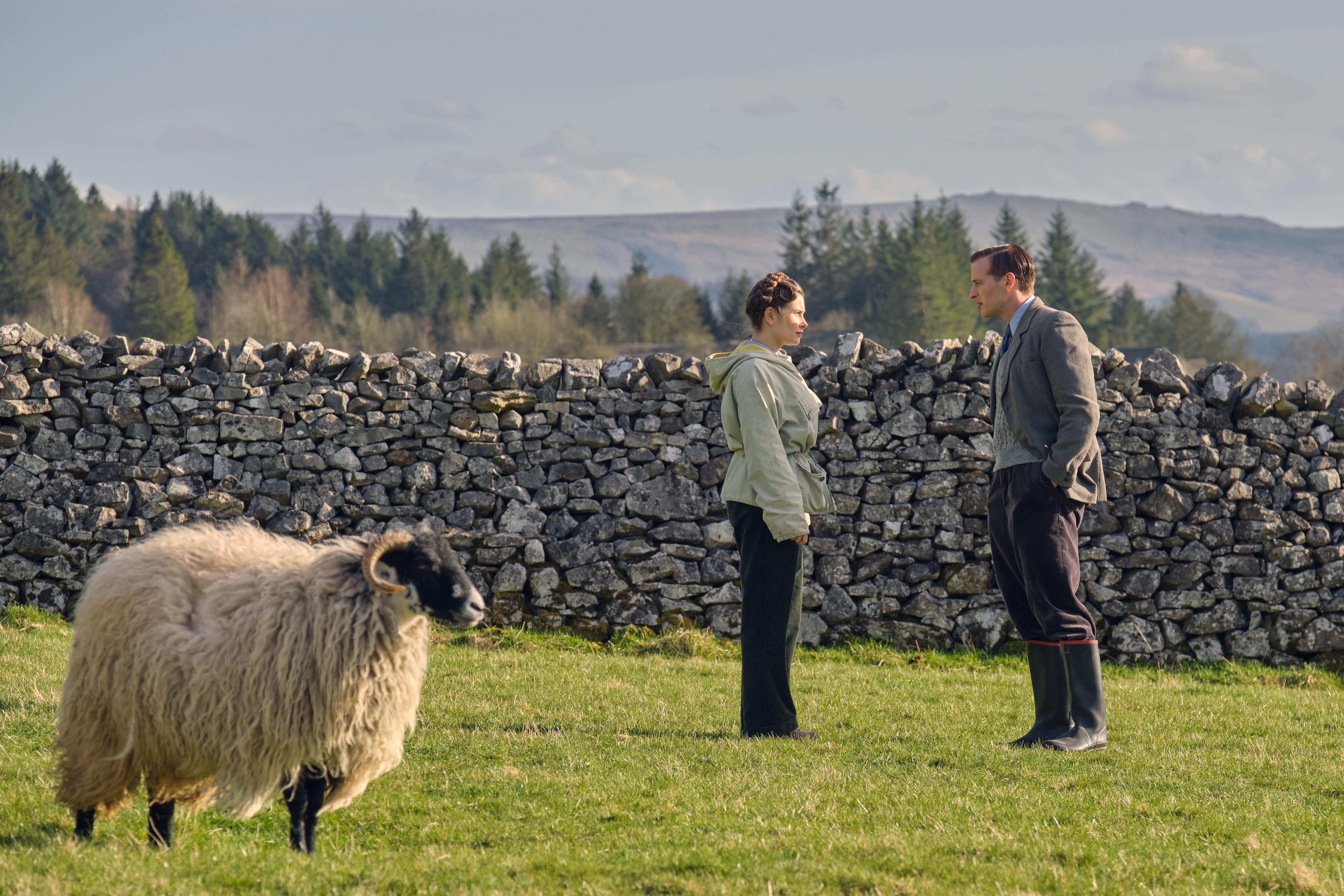 Helen and James standing in a field in 'All Creatures Great and Small' Season 2