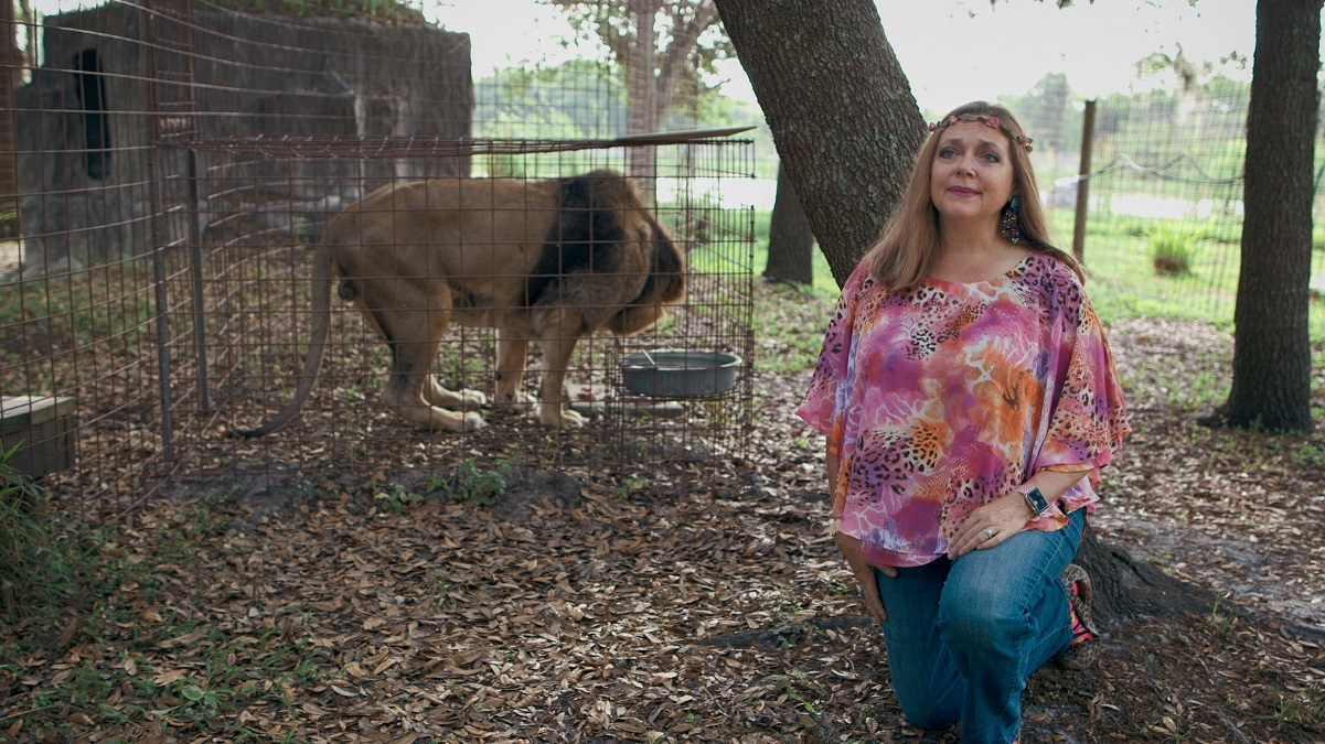 Carole Baskin kneels on the ground with a lion behind her. She's wearing a pink floral print shirt and a flower crown.