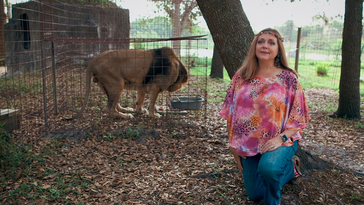 Carole Baskin kneels on the ground with a lion behind her. She's wearing a pink floral print shirt and a flower crown.