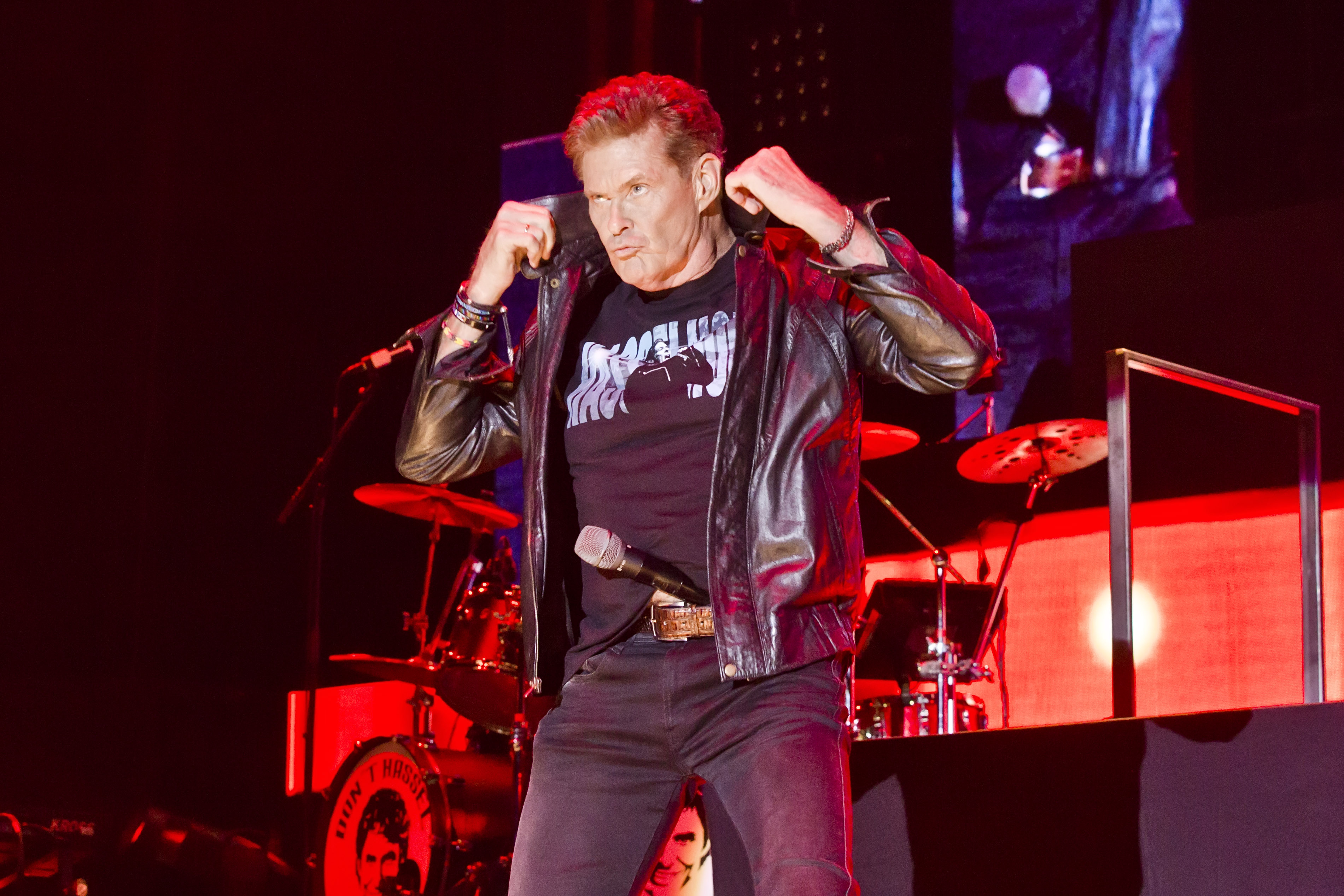 David Hasselhoff poses at a concert