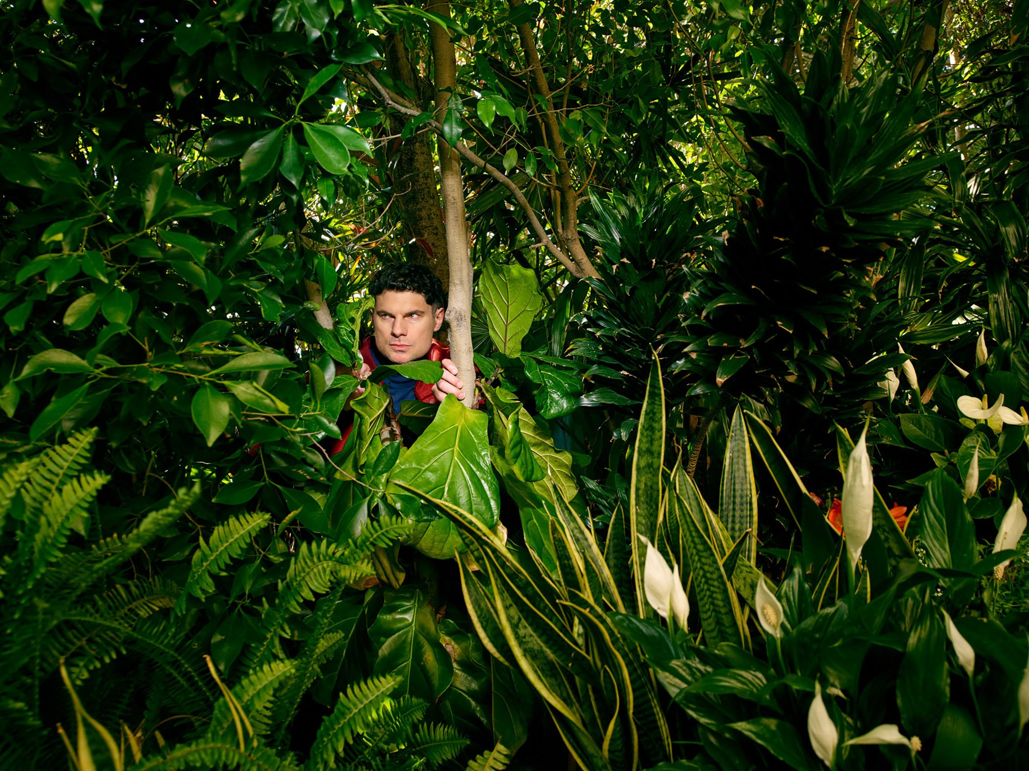 Flula Borg hides in the trees