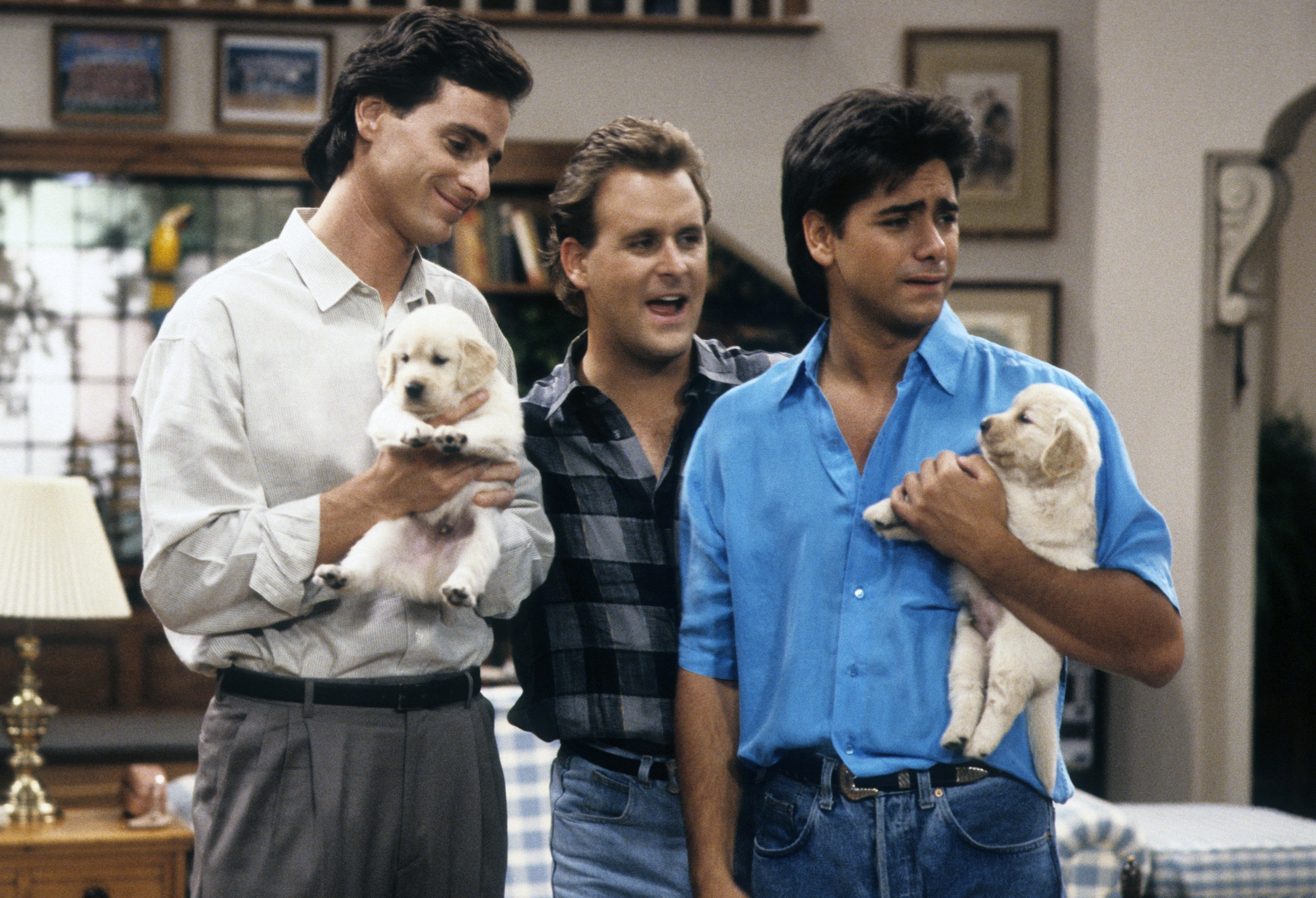 'Full House' episode titled 'And They Call It Puppy Love'