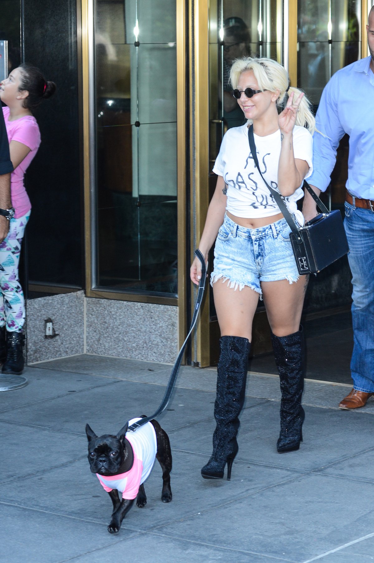 Lady Gaga in a white crop top and denim shorts walking a black dog.