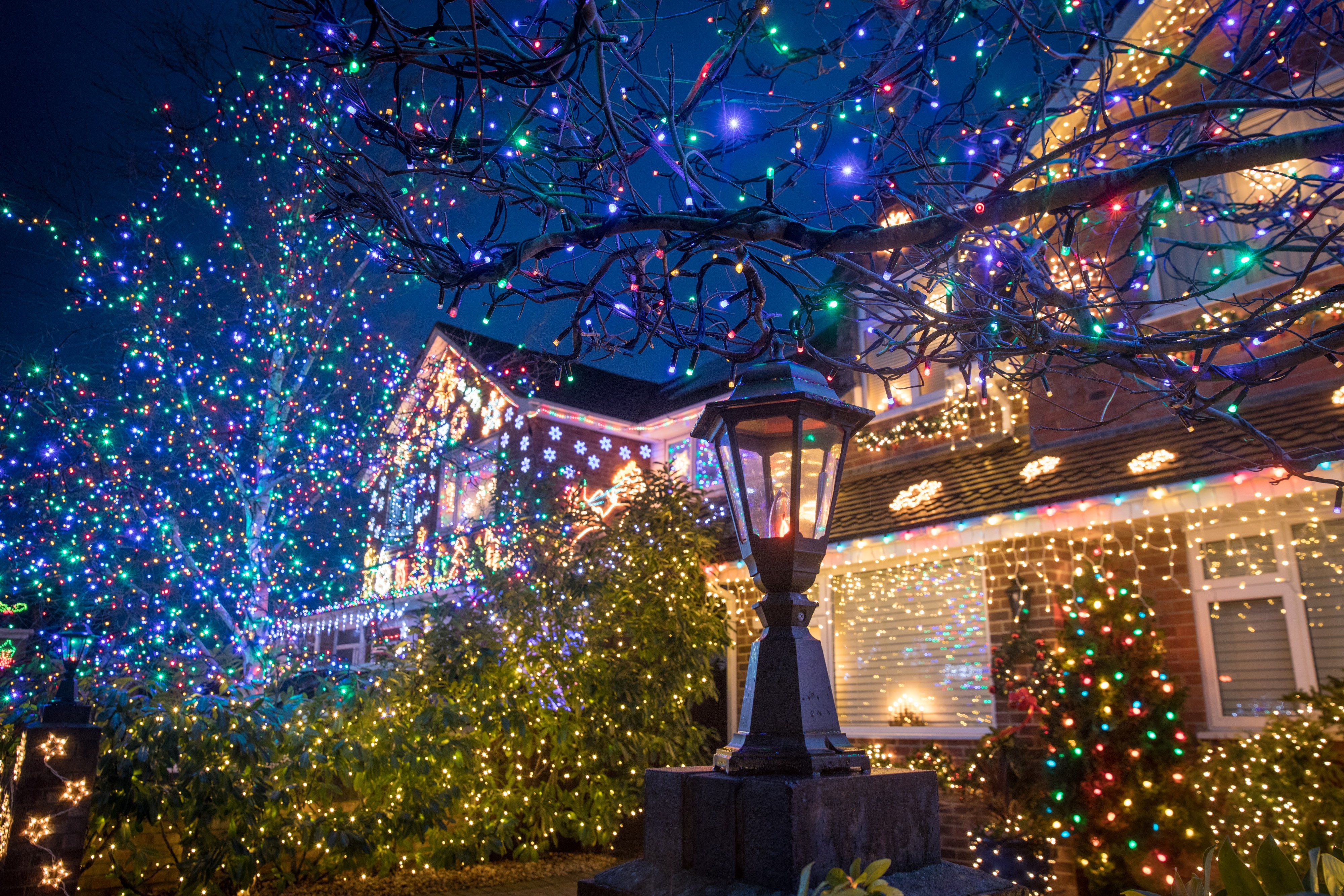 Christmas lights shine on a street similar to how Hocus Pocus almost had winter holidays backdrop