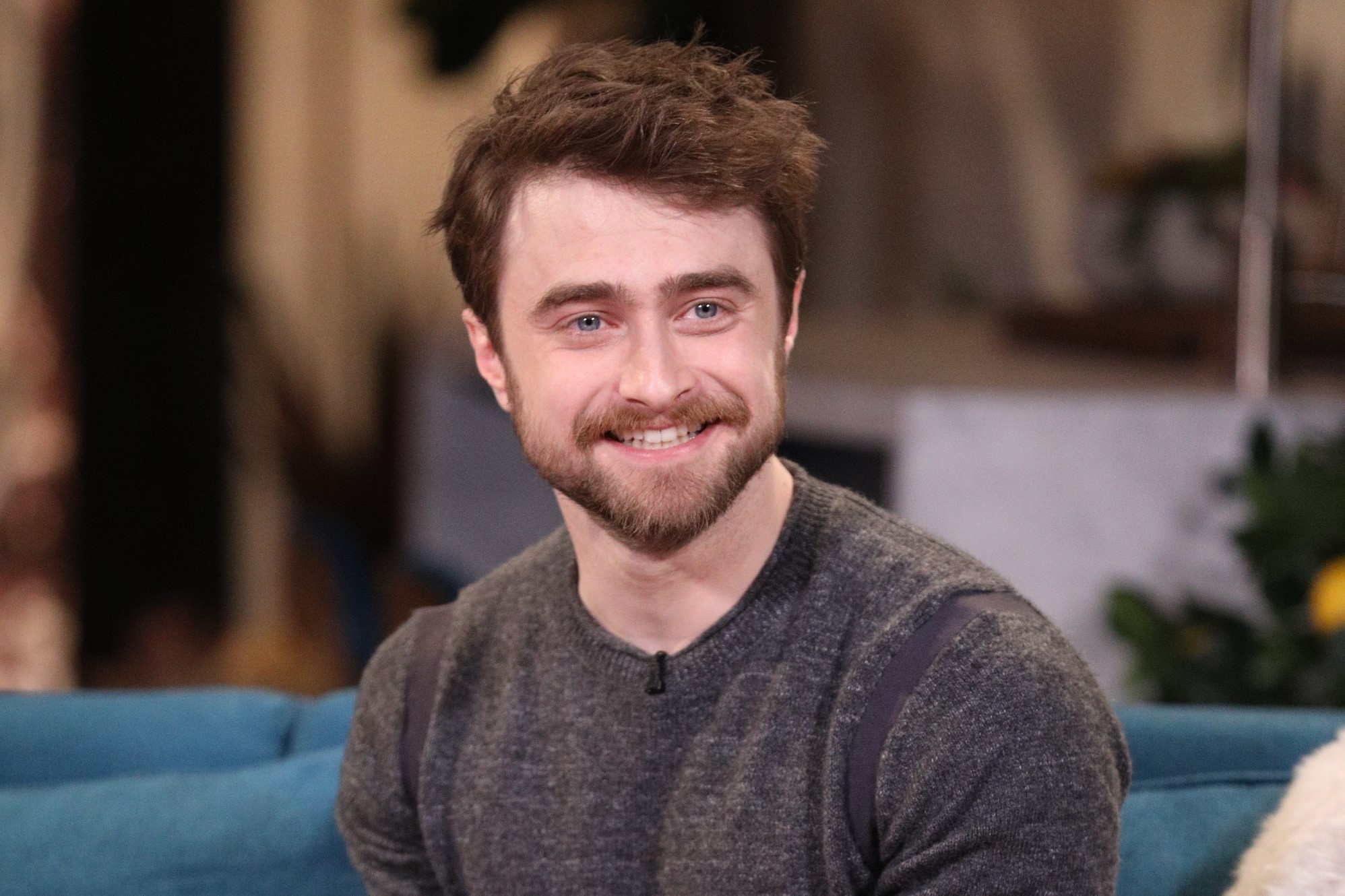 Daniel Radcliffe in a gray sweater.