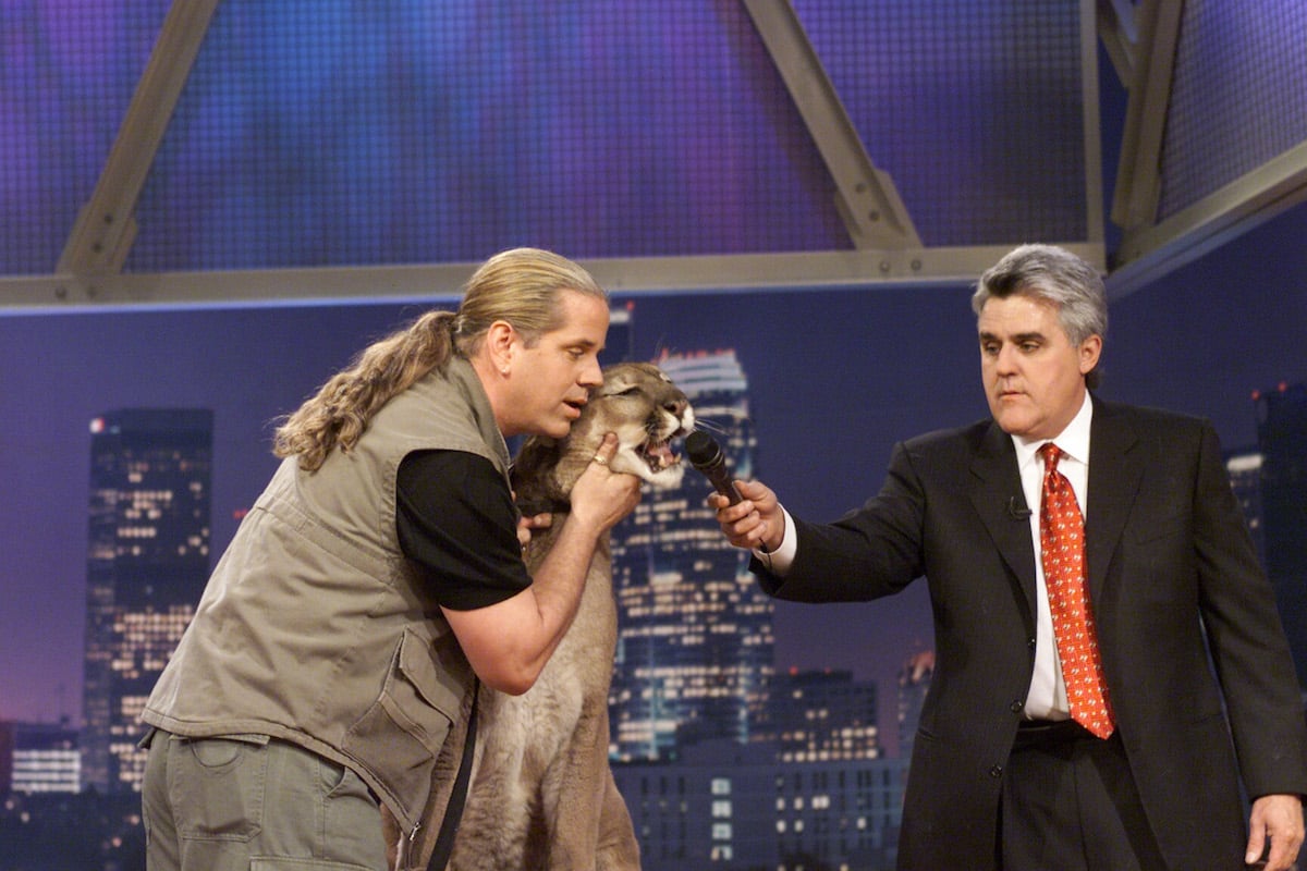 Doc Antle holds a mountain lion's mouth open while Jay Leno raises a microphone to the mountain lion.