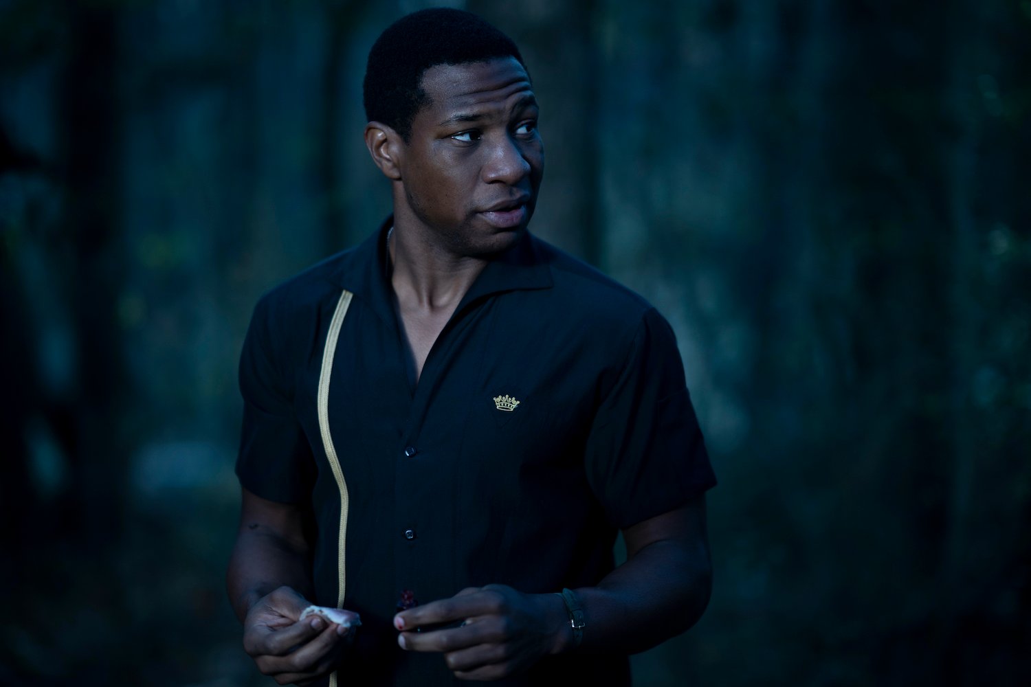 Emmy nominee Jonathan Majors looks to his left in Lovecraft Country
