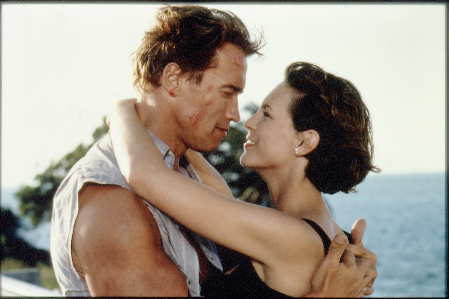 James Cameron's True Lies: Harry and Helen hug