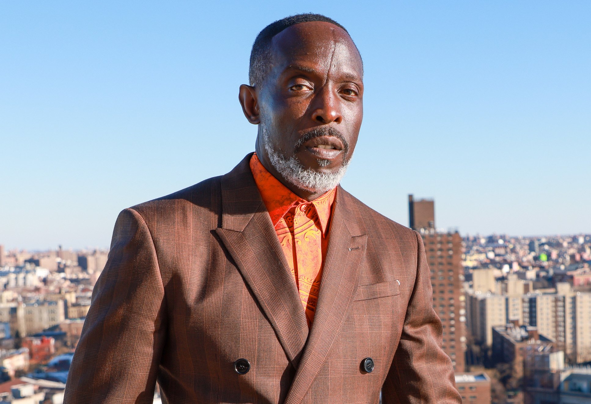 Michael K. Williams in a suit against a city backdrop. Michael K. Williams earned his net worth from 'The Wire' and is now nominated for an Emmy thanks to 'Lovecraft Country'