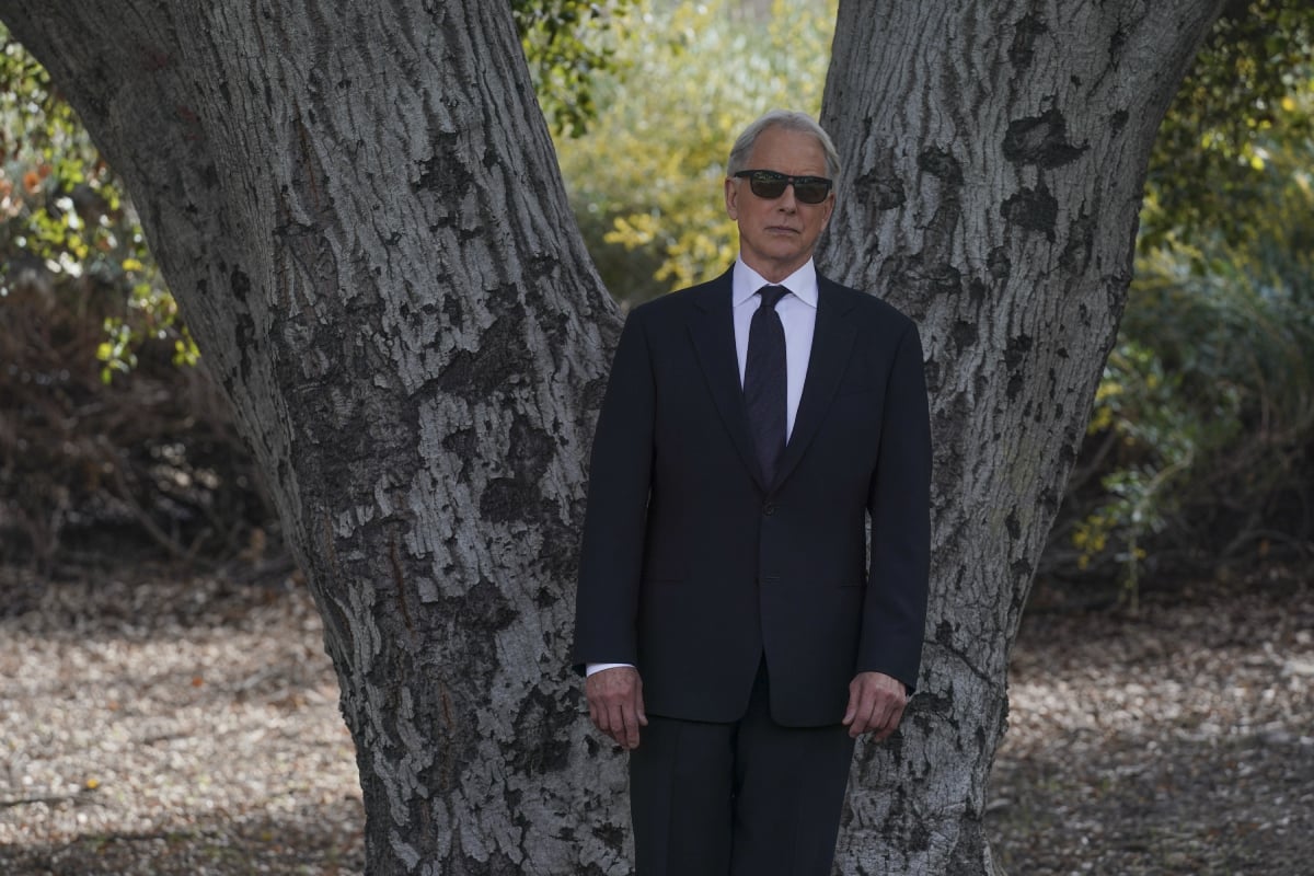 Mark Harmon returns for season 19 as NCIS Special Agent Leroy Jethro Gibb